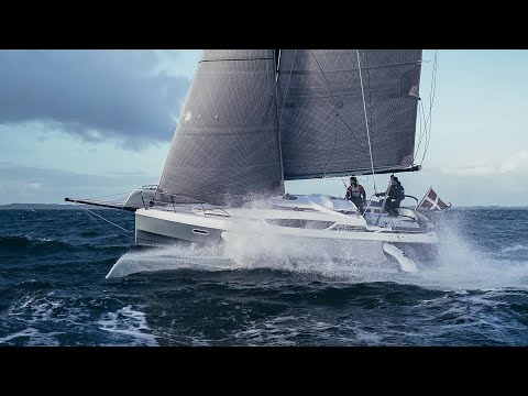 Dragonfly 28 - Unfold your horizons