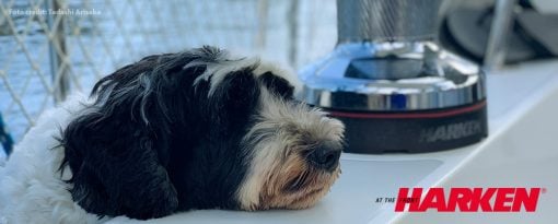 Korting op Harken lieren Dekker Watersport 2